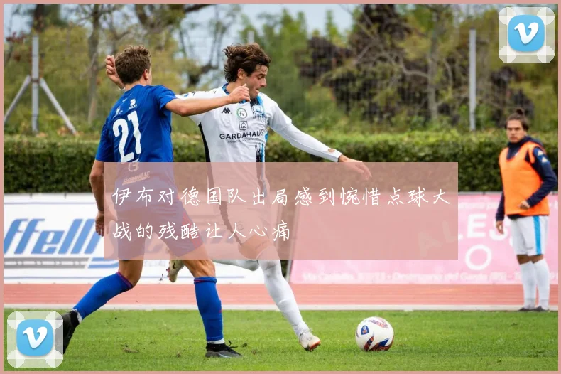 伊布对德国队出局感到惋惜点球大战的残酷让人心痛